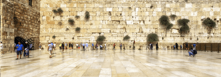 6202e496eee5f616fbf391d0_Statement on Bennett and Kotel web image