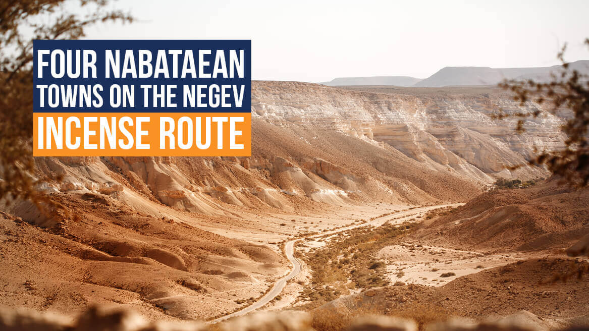 Four Nabataean Towns on the Negev Incense Route