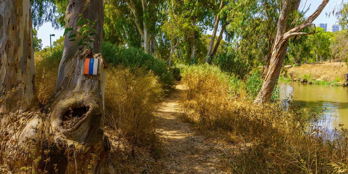 Israel national trail markings along the way