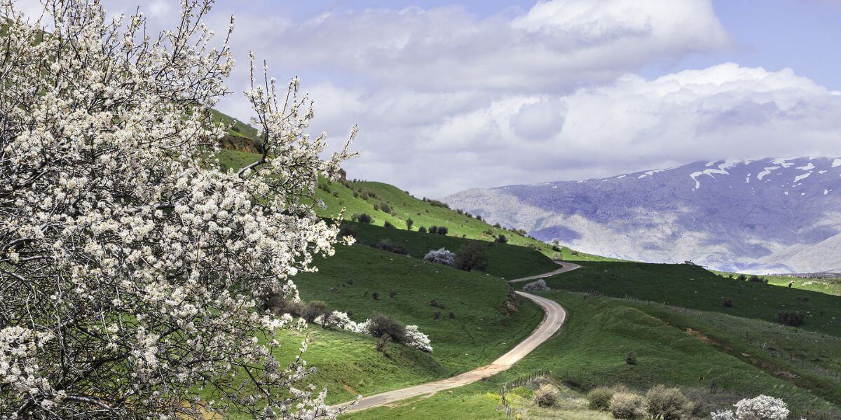 Hermon Mountain from the National Israeli Trail