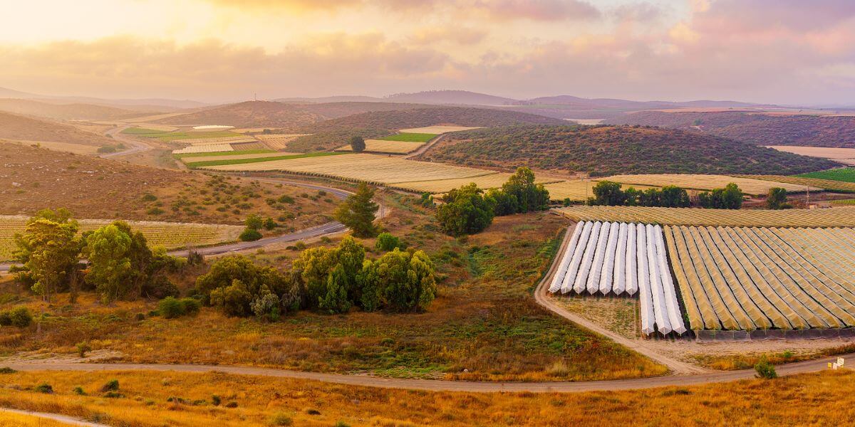 The views of the Israel national trail