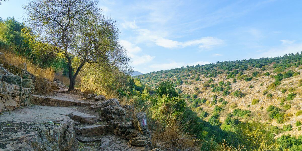 The Israel national trail in the north