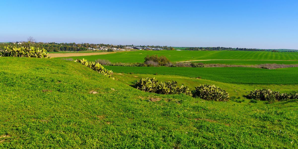 Views from the kibbutz in Israel