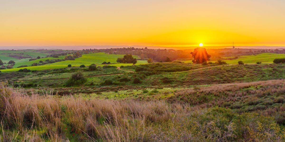 The kibbutz makes you closer to nature