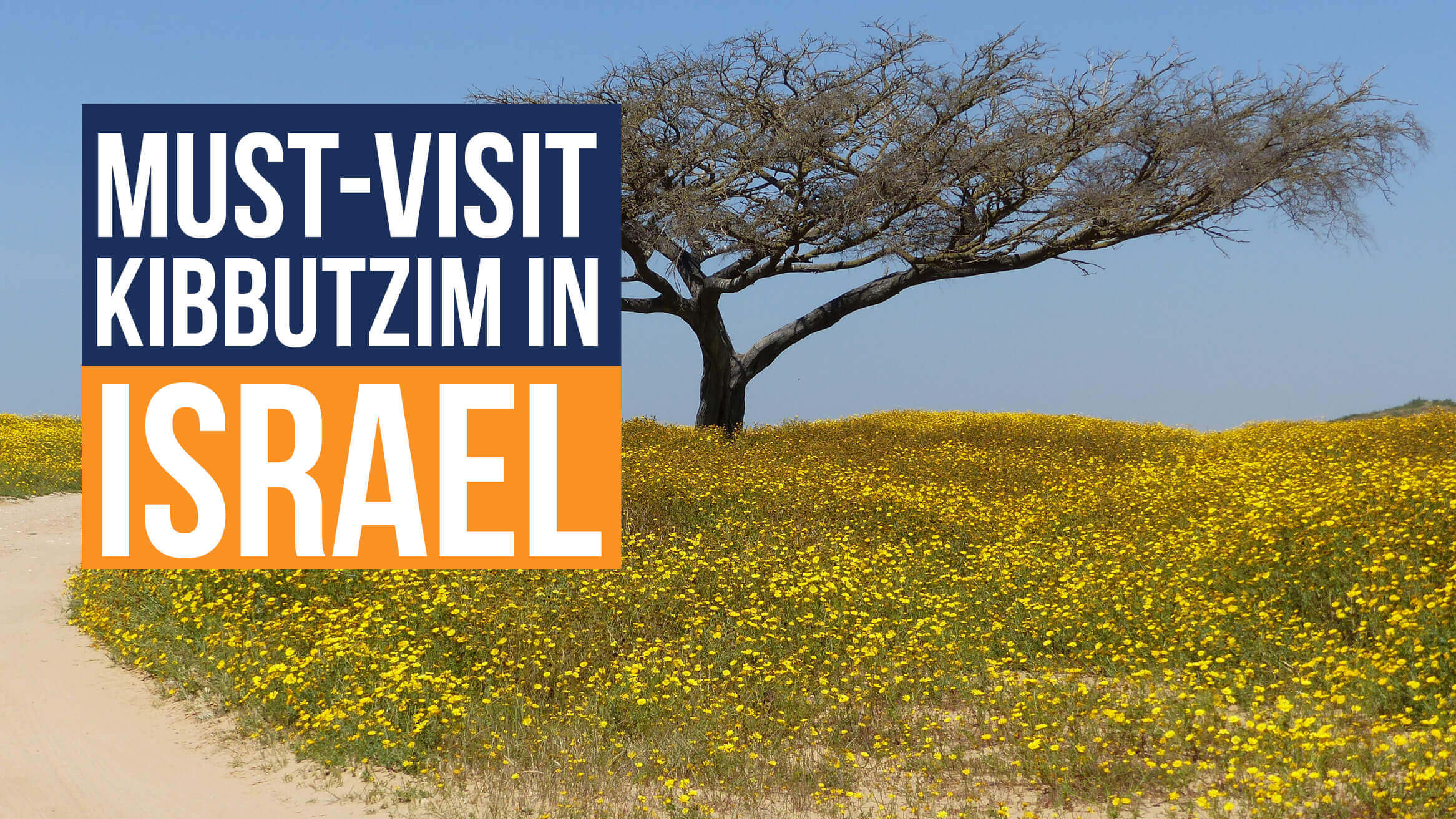 The Best Kibbutzim In Israel You Just Have To Visit The Best Kibbutzim In Israel You Just Have To Visit