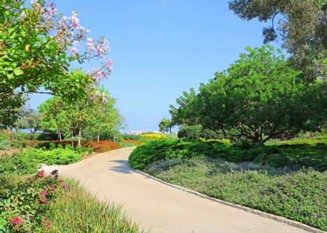 Ramat hanadiv garden