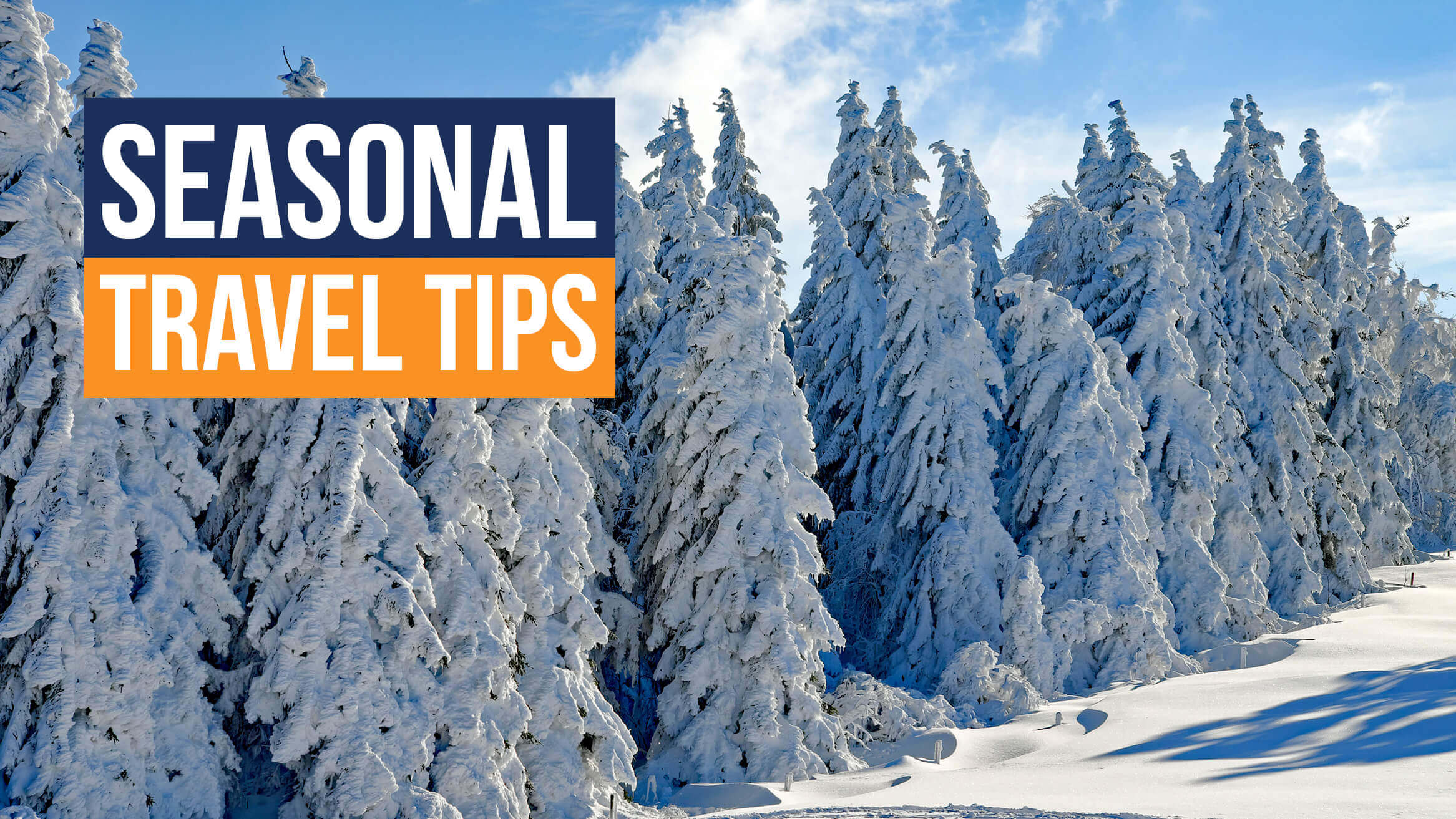 Seasonal travel tips