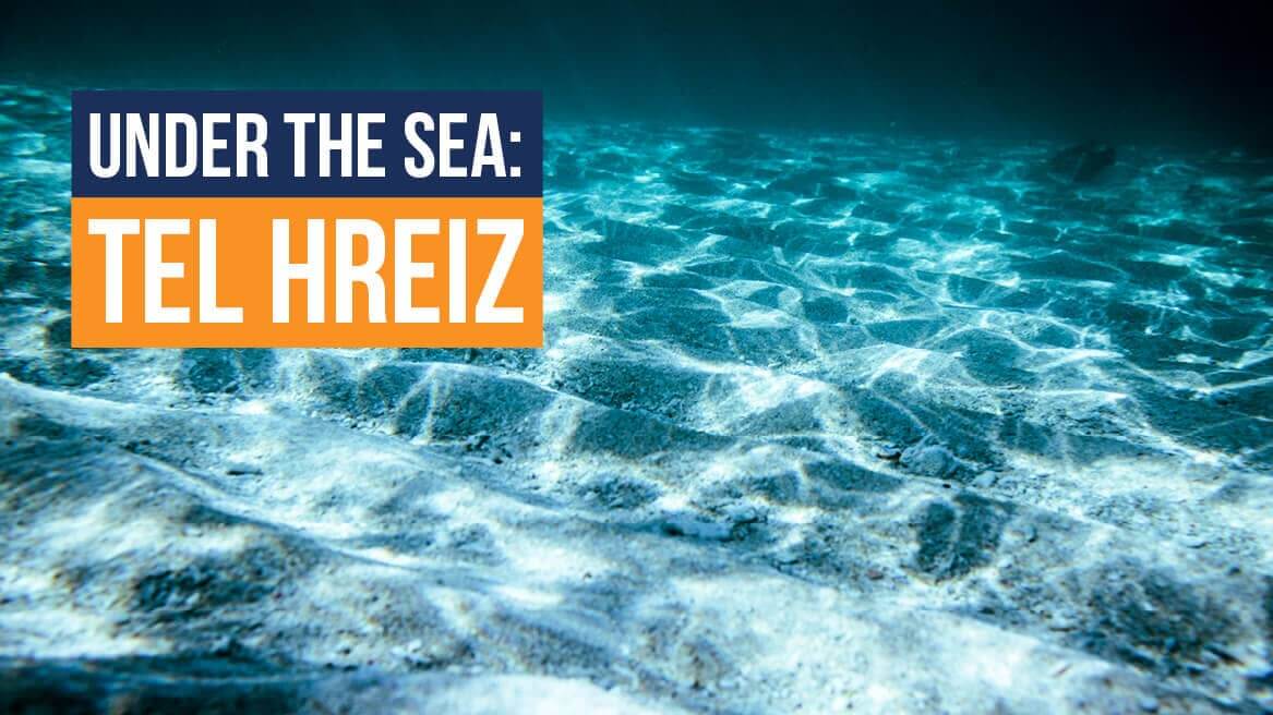 Under the Sea Tel Hreiz