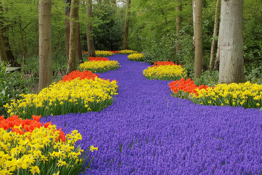 Keukenhof Gardens, Netherlands