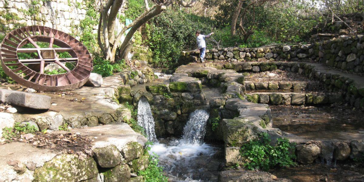 Banias Stream Israel nature