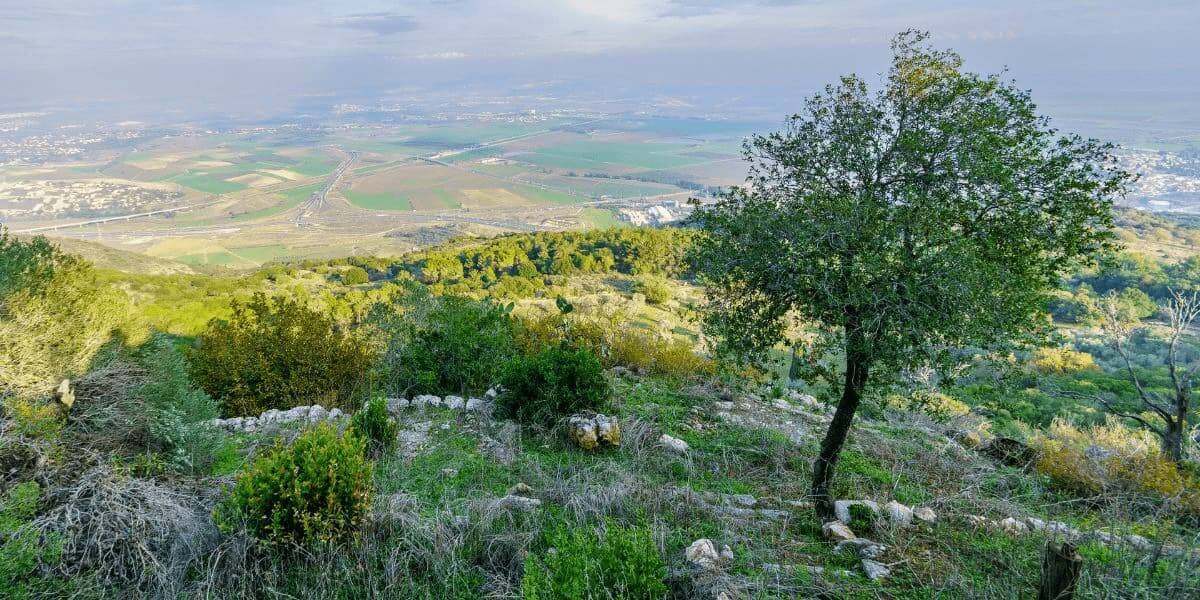 The view from Ein Hod Artist Village