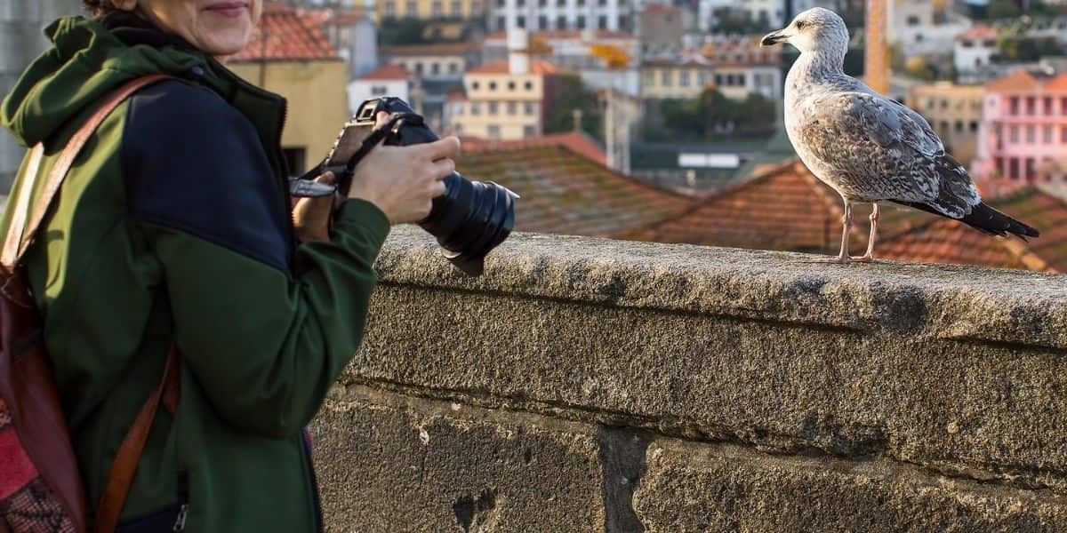 Enjoy Evora Portugal and learn about the Jewish heritage