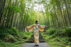 Kimono forest japan
